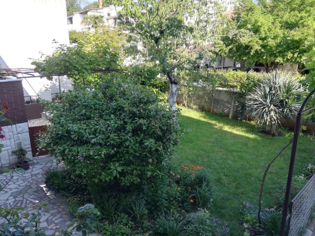 Family Apartman Luka Appartamento